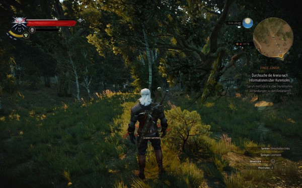 Witcher19