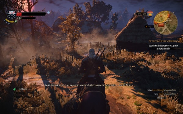 Witcher6