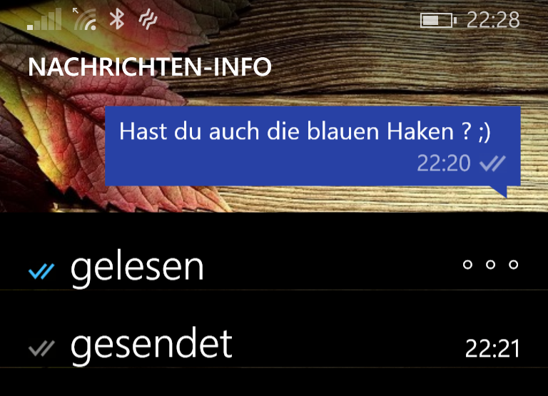 WhatsApp Blaue Haken2