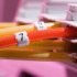 Gigabit-Studie: Voraussichtlich 29,3 Millionen Anschlüsse bis Mitte des Jahres teaser image teaser image